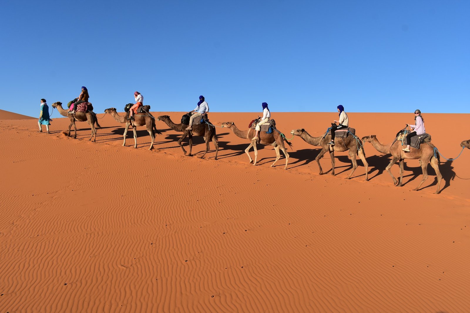 sahara desert in morocco