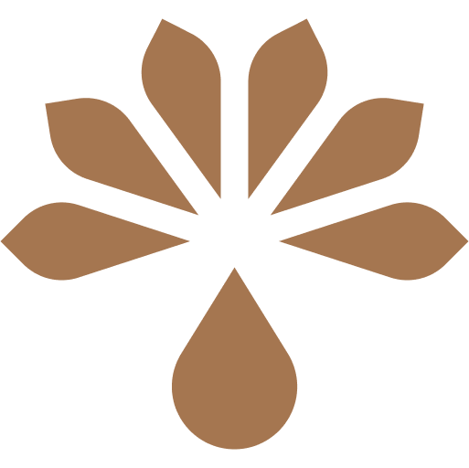 largest desert in the wolud