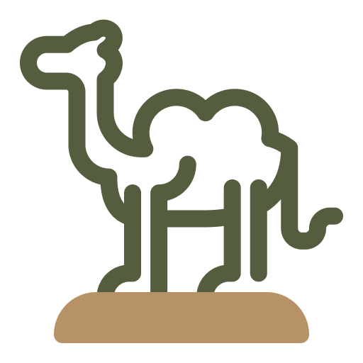 fantastic Sahara desert tour Morocco Trips Best Morocco tours Fes to Marrakech