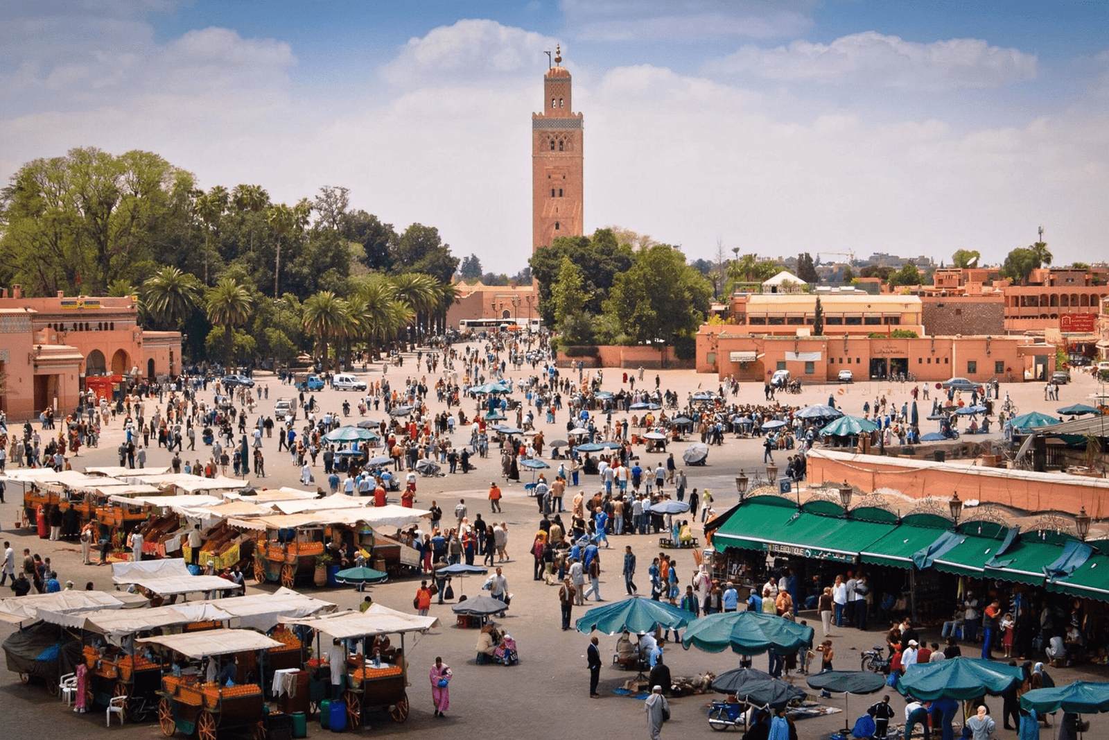 What To Do in Marrakech