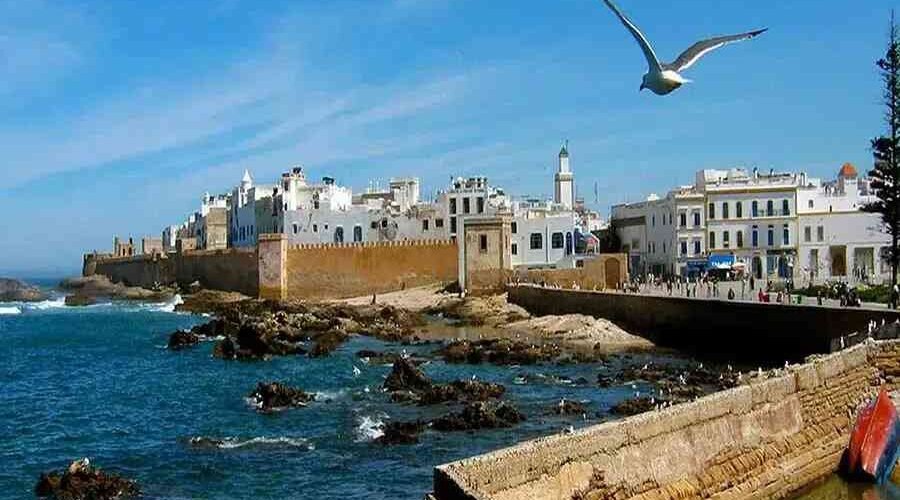 essaouira day trip from marrakech