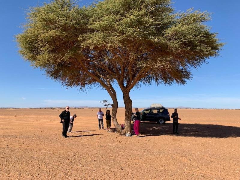 morocco tours & desert adventures